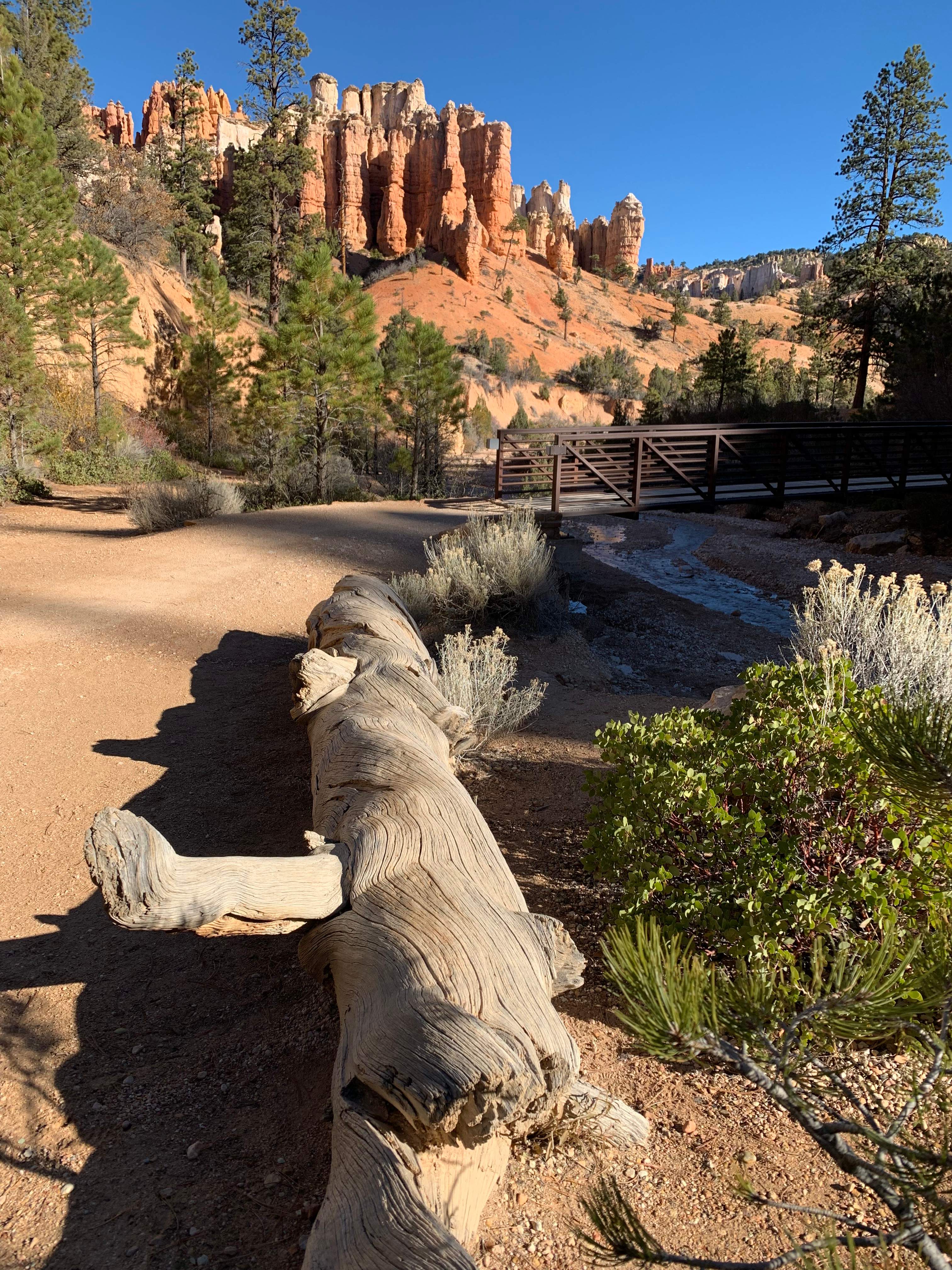 Bryce Canyon NP